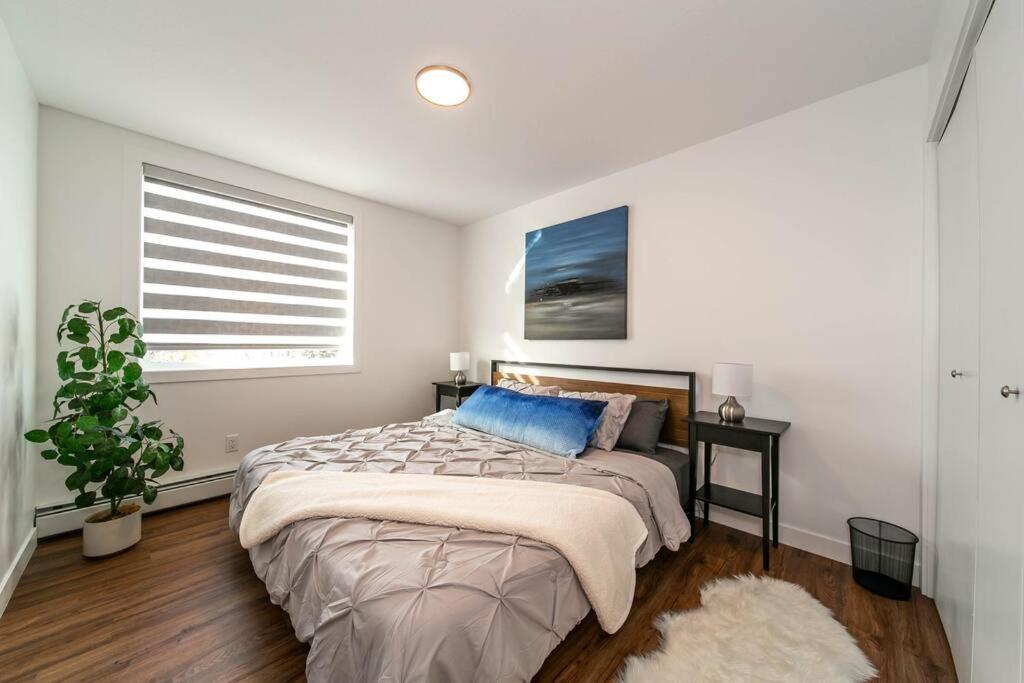 Spacious 2bedroom Free Parking King Bed Close To Dt Apartment